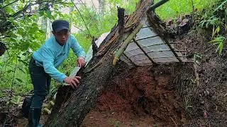Thumbnail: BUSHCRAFT CAMPING IN HEAVY RAIN: Building a Bark Shelter from Scratch (ASMR)