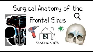 Thumbnail: Surgical Anatomy of the Frontal Sinus - FRCS ENT Exam Essentials