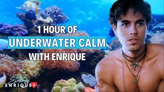 Thumbnail: 🎧 Enrique Iglesias | 1 Hour of Underwater Calm – Meditative Music for Sleep, Study & Relaxation