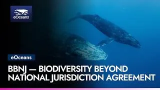 Thumbnail: Biodiversity Beyond National Jurisdiction BBNJ Agreement |  🌊eOceans®🌎
