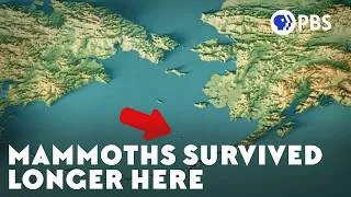 Thumbnail: The Second-to-Last Mammoths Ever