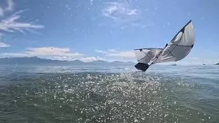 Thumbnail: Leaping out of the water: aerial-aquatic locomotion with flapping wings
