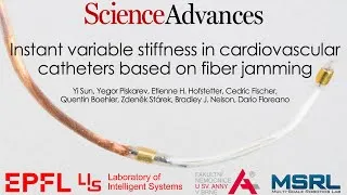 Thumbnail: Instant variable stiffness in cardiovascular catheters based on fiber jamming