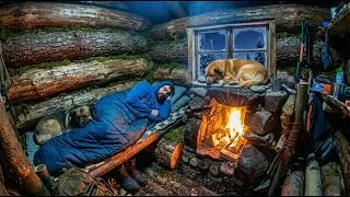 Thumbnail: 100 Days Solo: From a Secret Tree Shelter to an Epic Log Cabin (Full Project)