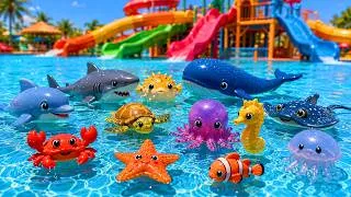 Thumbnail: 70 Sea Animals 🌊🐬🐋🦈💦 Kids Learn at the water slide with Toys & Real Ocean Animals home  Cute Animals