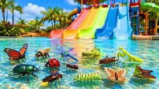 Thumbnail: 50 Bugs 🦋🐝🐞💦 Kids Learn at the water slide with Toys | Bugs & Insect names and home | Cute Bugs