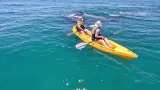 Thumbnail: Eco Whale Watching By Kayak Double Island Point