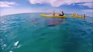 Thumbnail: Team Building Double Island Point