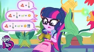 Thumbnail: 💎 Jewel Thief Chase in the Big City! + More | My Little Pony | Cartoon for Kids