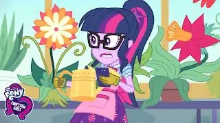 Thumbnail: 🌱😱 Twilight Grows MONSTER Plants?! + More | My Little Pony | Cartoon for Kids