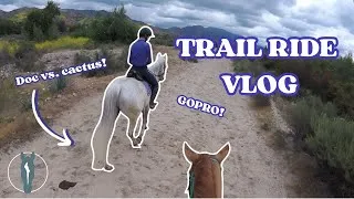 Thumbnail: OUR FIRST SOLO TRAIL RIDE! | GoPro groom, tack up, and TRAIL RIDE with me | Equitation Station