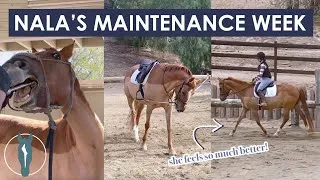 Thumbnail: Helping My Horse Feel Better! Horse Care & Riding Barn Vlog | Equitation Station
