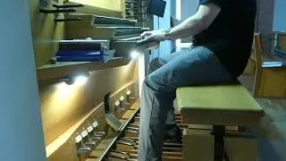Thumbnail: Star Wars A New Hope John Williams, Albert Erni plays the organ for you.