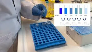 Thumbnail: 10 - Bradford Assay