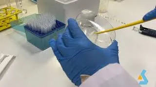 Thumbnail: 09 - Protein Isolation from Mammalian Cells