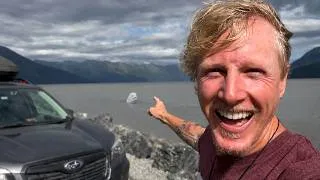 Thumbnail: I Woke Up to Beluga Whales Swimming Right Outside My Car!