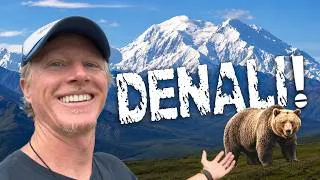 Thumbnail: Deep Inside Denali National Park: Grizzly Bears, Caribou & an Epic Campsite