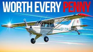 Thumbnail: The Aviat Husky: Why Pilots Love This Dangerous Plane