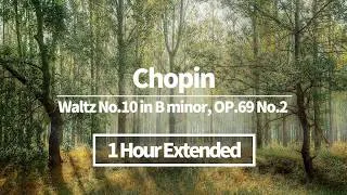 Thumbnail: Chopin - Waltz No.10 in B minor, OP.69 No.2