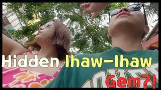 Thumbnail: SUB) [🇵🇭 VLOG] Our Cebu Finale: Finding Hidden BBQ Gems & Laughs!