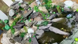 Thumbnail: KYOTO rock waterfeature practice before #diy #ecogarden #waterfeaturedesign #before
