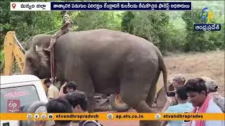 Thumbnail: పంటల విధ్వంసానికి చెక్.. మన్యం జిల్లాలో రంగంలోకి కుంకీ ఏనుగులు