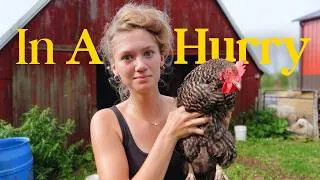 Thumbnail: Navigating Farm Struggles as the Seasons Change