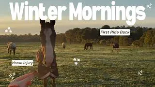 Thumbnail: A week of winter mornings with my horse | Injuried Horse + First ride back