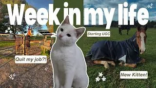 Thumbnail: Chaotic Week in my Life | Adopting a kitten, Quitting my Job + Starting UGC