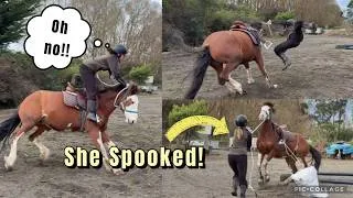 Thumbnail: BOLTING + FALLING OFF!! Bomb proof training gone wrong!!
