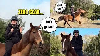 Thumbnail: Can I control my horse with ZERO gear?? Day 1 of riding completely tackless...