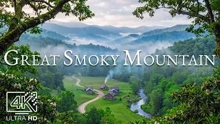 Thumbnail: Great Smoky Mountains 4K – Untamed Deep Creek Waterways, Sylvan Glades & Blue Ridges