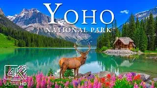 Thumbnail: Yoho National Park 8K 🏔️ – Turquoise Emerald Lake Waters, Wooden Lodges & Pines UHD