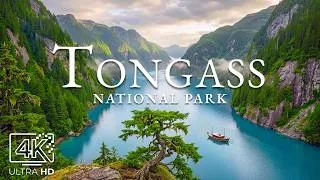 Thumbnail: Tongass National Forest 4K – Frost-Carved Mendenhall Glacier & Misty Ocean Waters
