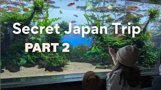 Thumbnail: We found Tokyo's best aquarium ever!