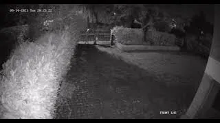Thumbnail: Reece James's house robbed | Video showing thieves stealing something from the house of Reece James