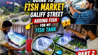 Thumbnail: Aquarium Setup Part 2: Time to Add the Fish! 🐟🏡 | 4K Vlog | India biggest fish 🎣 market |