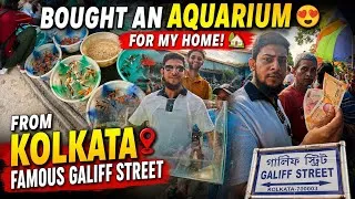 Thumbnail: 🐠 Exploring Kolkata’s Famous Galiff Street Pet Market 😍 | Bought an Aquarium for Home 🏡✨