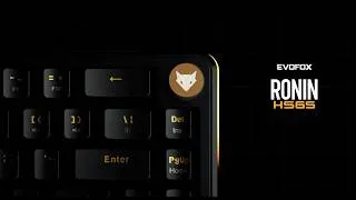 Thumbnail: EvoFox Ronin HS65 Hall Effect Wired Mechanical Keyboard | 8000Hz Polling | Rapid Trigger | Snap Tap
