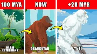 Thumbnail: Yeti Origin Evolution: How Yeti Could Have Evolved