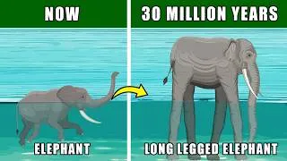 Thumbnail: Long-Legged Elephant Speculative Evolution: How Elephant May Adapt Verticality and Evolve Long Legs