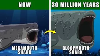 Thumbnail: Gigamouth Shark Speculative Evolution: How Megamouth Shark May Adapt and Evolve Extreme Gigantism