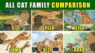 Thumbnail: All Cat Family Comparison