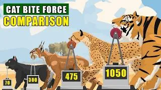 Thumbnail: Cat Family Bite Force Comparison: From 70 PSI House Cat to 1.500 PSI Jaguar