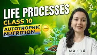 Thumbnail: Life Processes: Autotrophic Nutrition Explained | Class 10 Biology