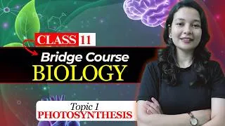 Thumbnail: What is Photosynthesis? | Basics of How Plants Make Food