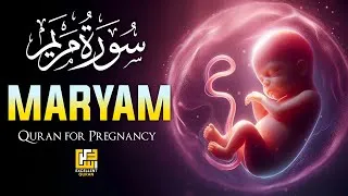 Thumbnail: Surah Maryam (سورة مريم) Must Listen During Pregnancy | Powerful Quran Ruqyah for Your Baby