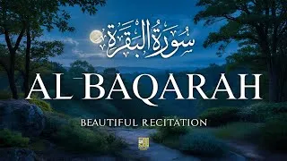 Thumbnail: Surah Al-Baqarah (سورة البقره) | Powerful Quran Tilawat for Protection & Blessings | Alaa Aqel