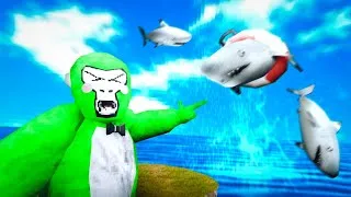 Thumbnail: SHARKS, SHARKS, AND SHARKS...