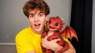 Thumbnail: MEET MY PET DRAGON…?